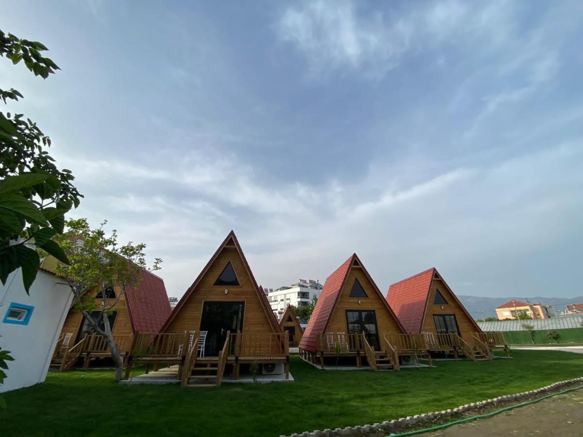 دمرة Noel Bungalov & Cafe المظهر الخارجي الصورة